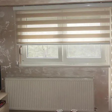 Daire Kamencic Zlatibor