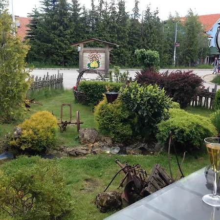 Kamencic Daire Zlatibor