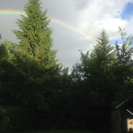 Kamencic Daire Zlatibor