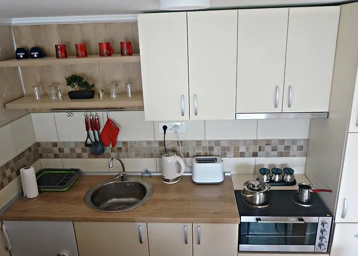 Kamencic Апартаменты *