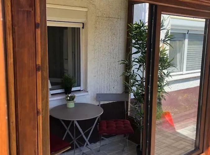 Kamencic * Златибор